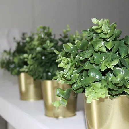 Casa Di Mamma Apartamento *