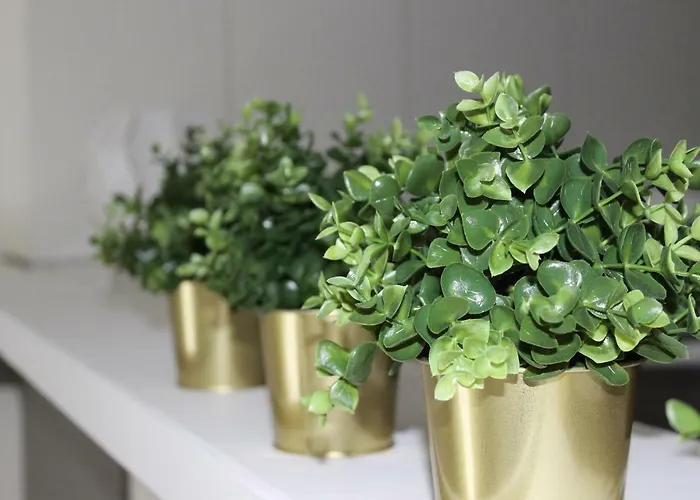 Casa Di Mamma Apartamento *