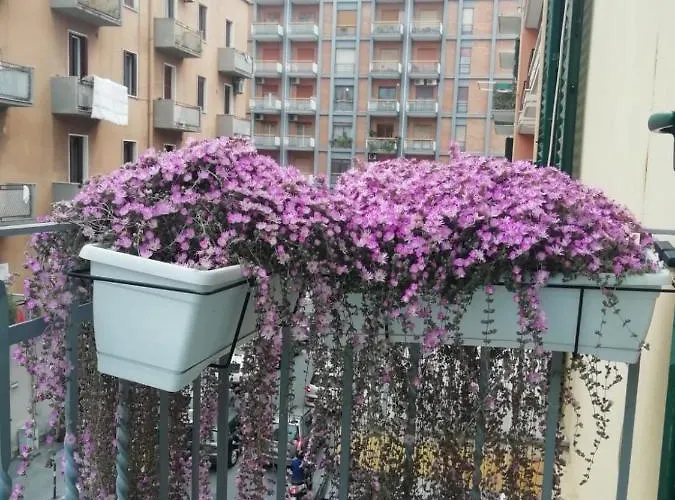 Apartamento Casa Di Mamma *